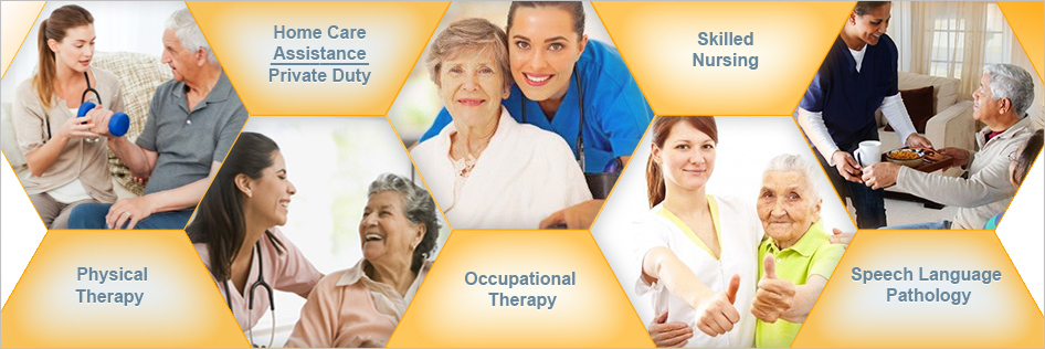 Bee Well Home Health Care